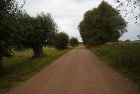 Droga do wsi Baranwko (fot. J. Kobus)