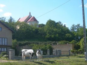 czyckie - dzieje wsi Bogdaczew